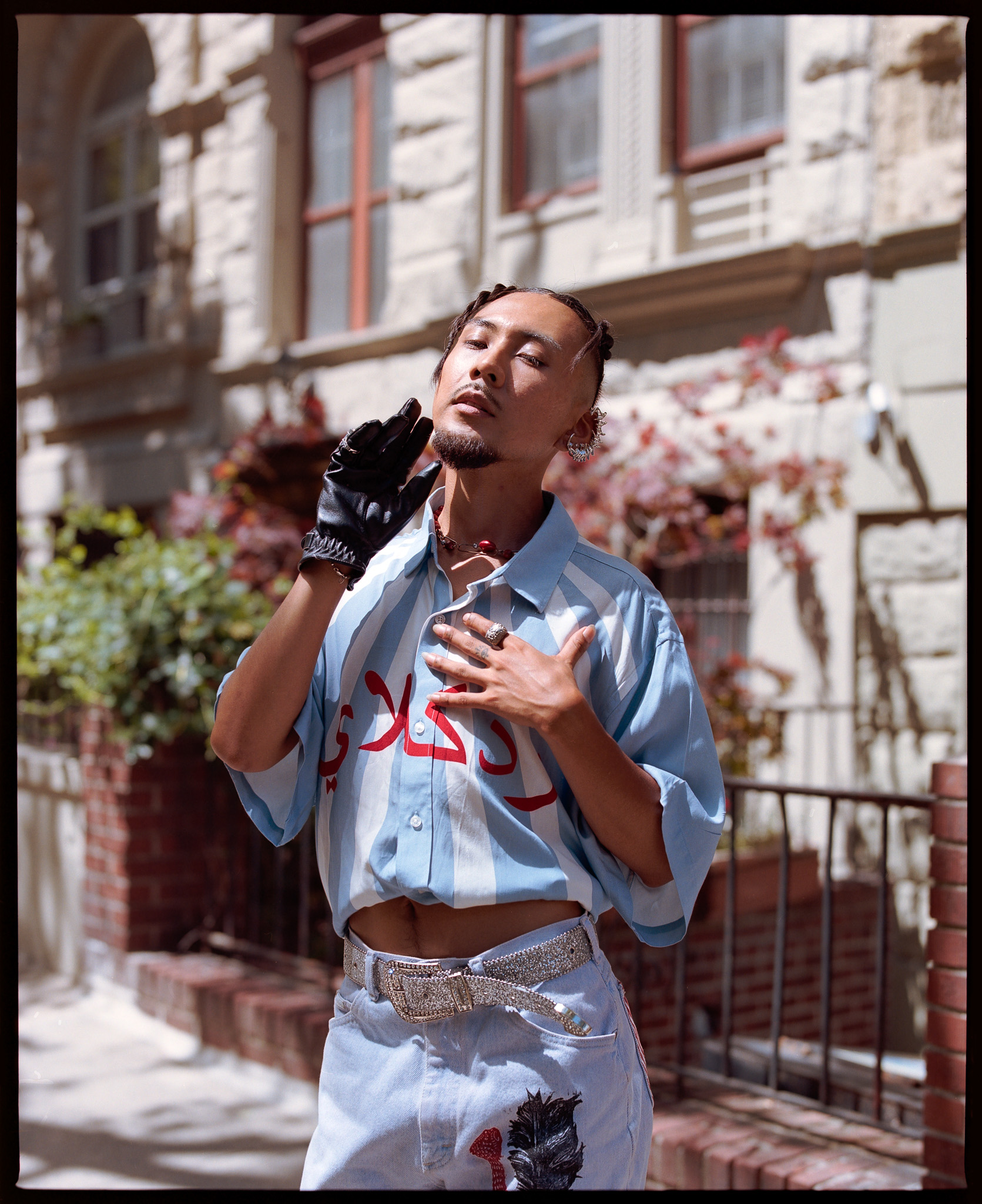 Draco — image 4