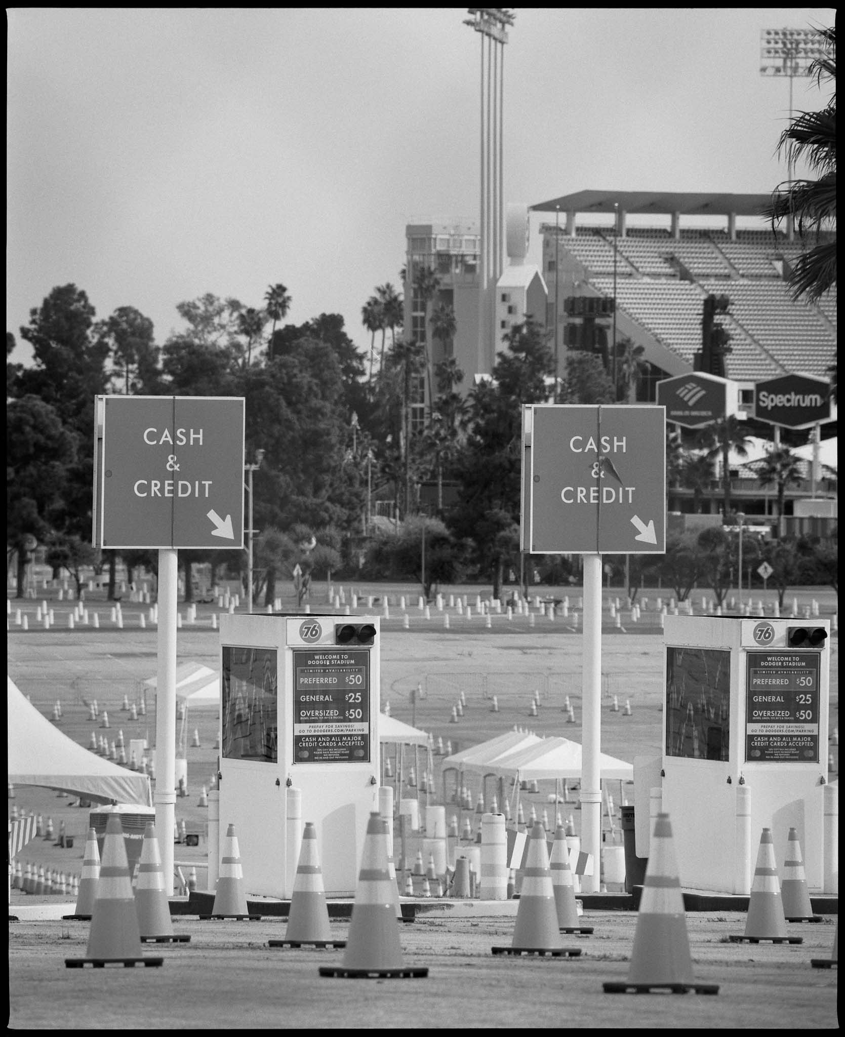 Covid Series — image 3