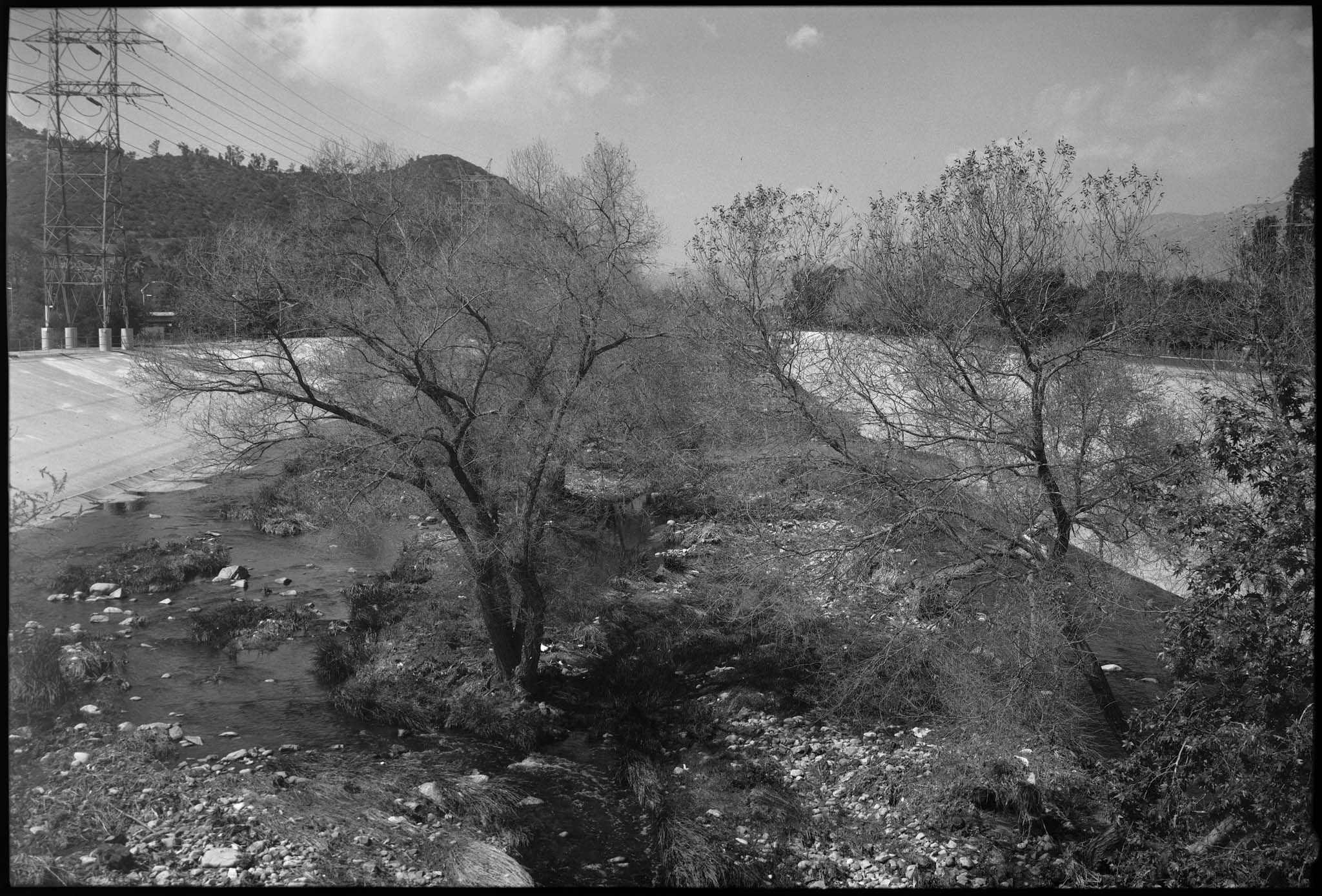 Covid Series — image 8