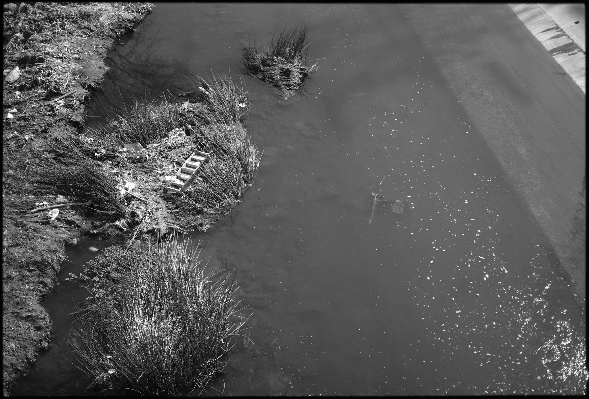 Covid Series — image 9