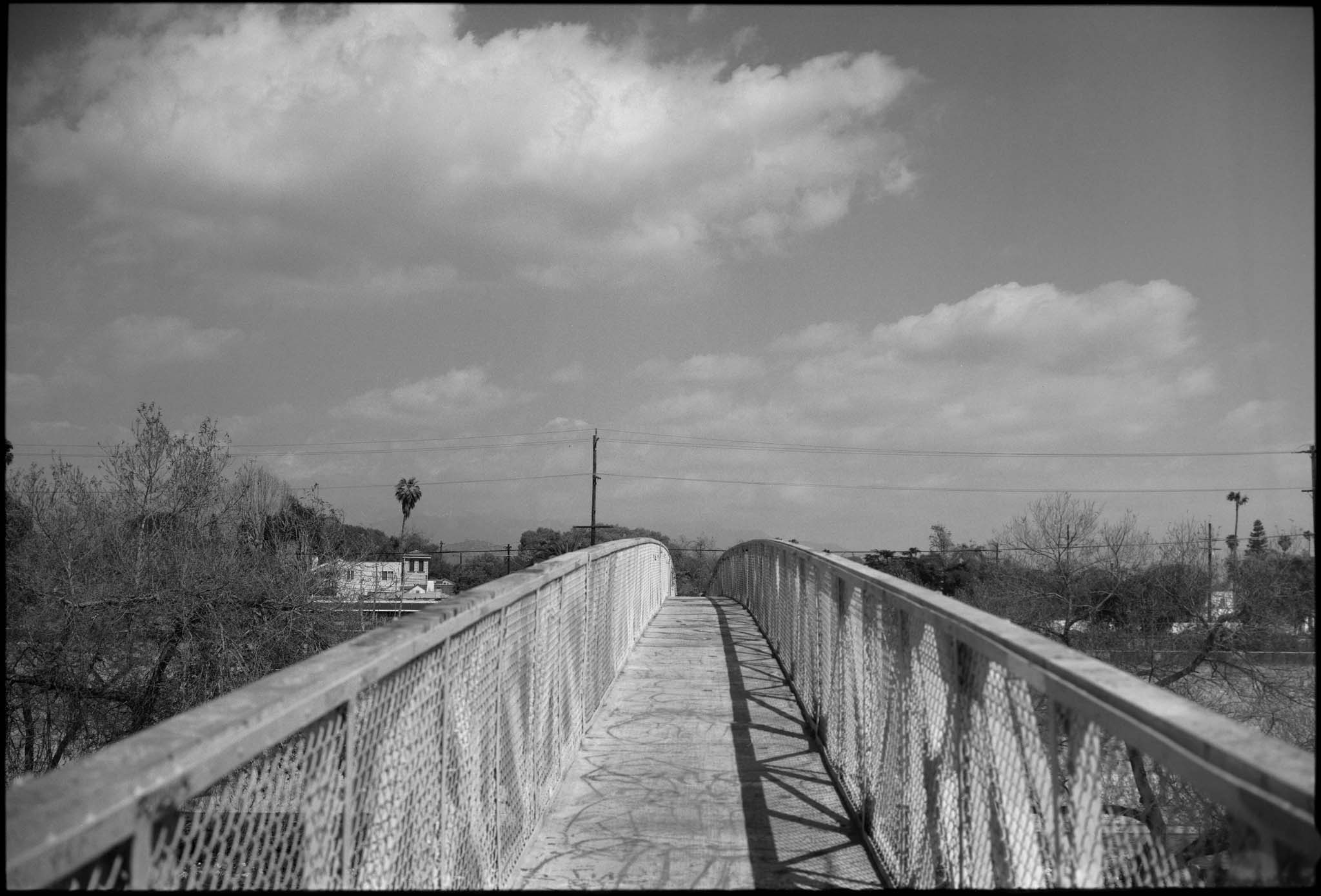 Covid Series — image 10