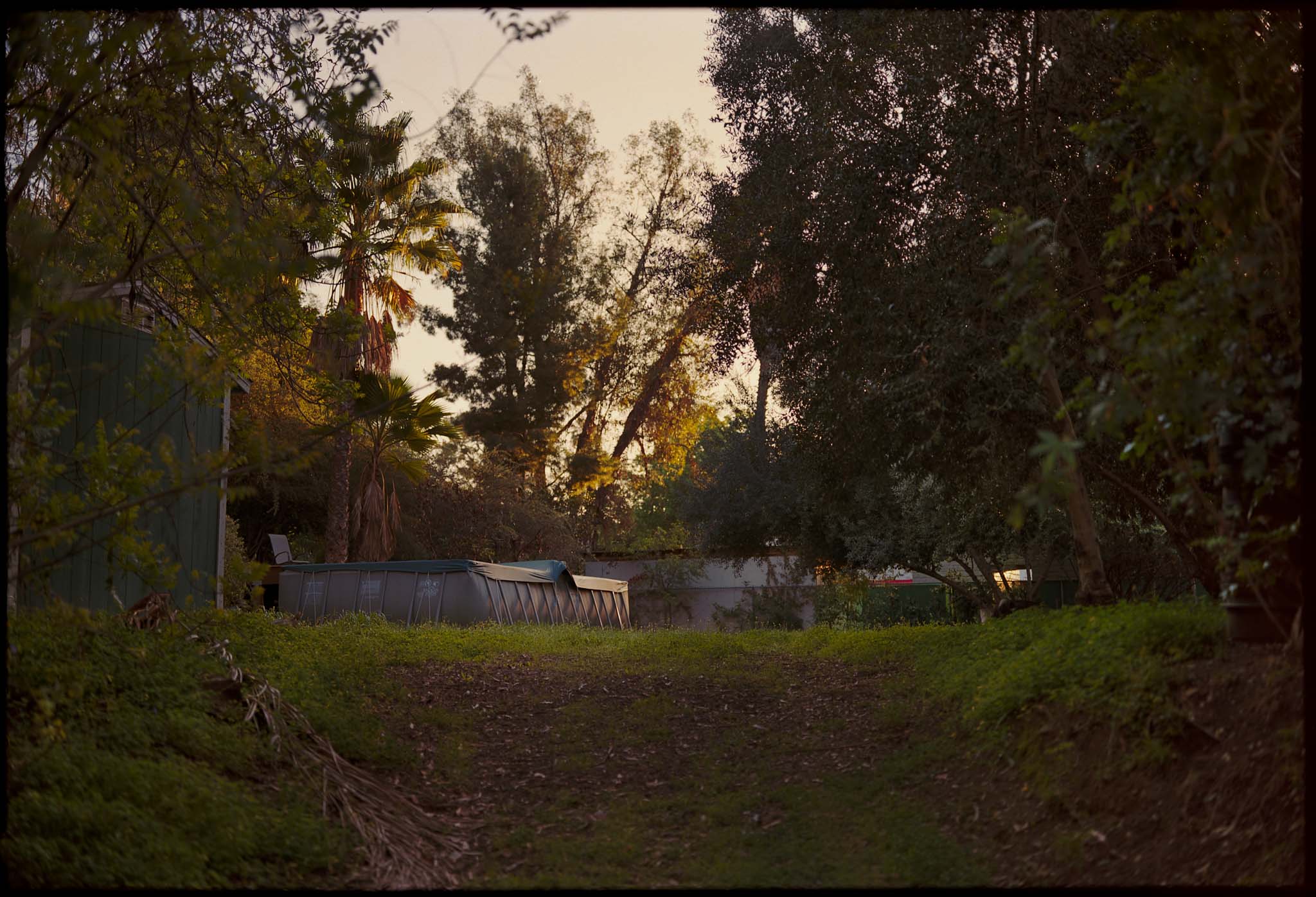 Covid Series — image 14