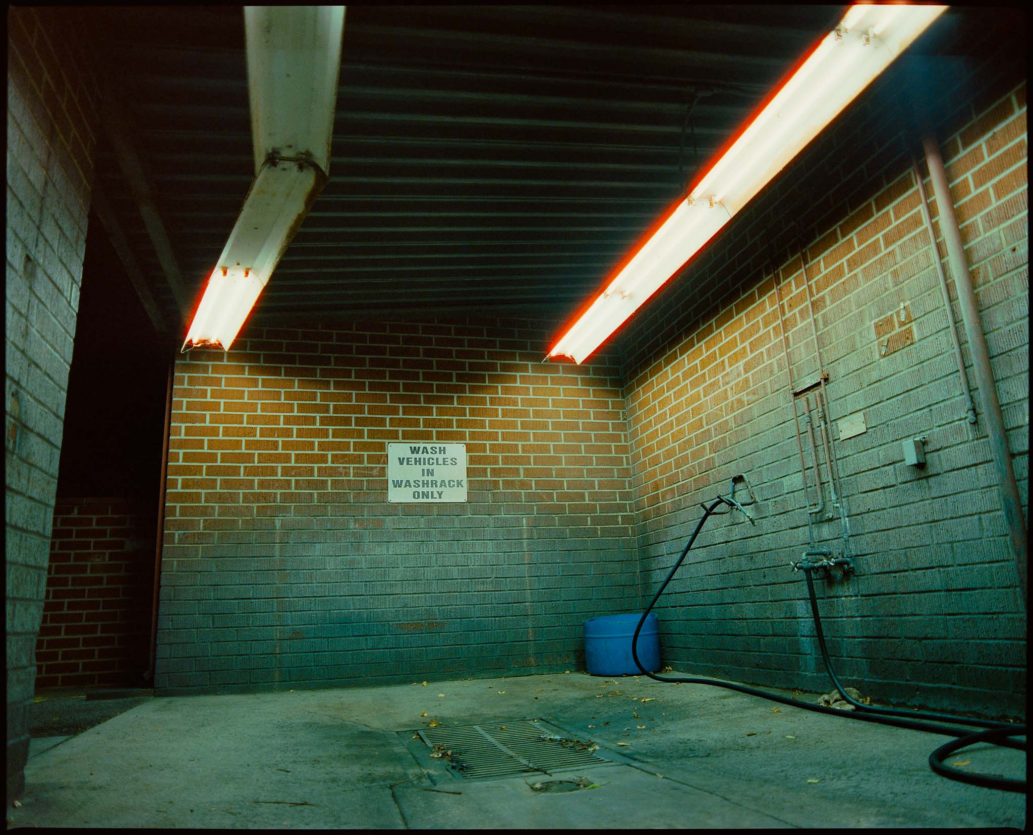 Covid Series — image 16